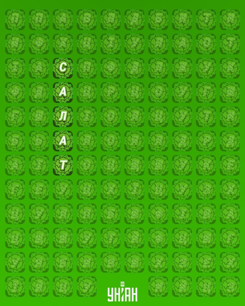 98 % ľudí nedokáže nájsť slovo 