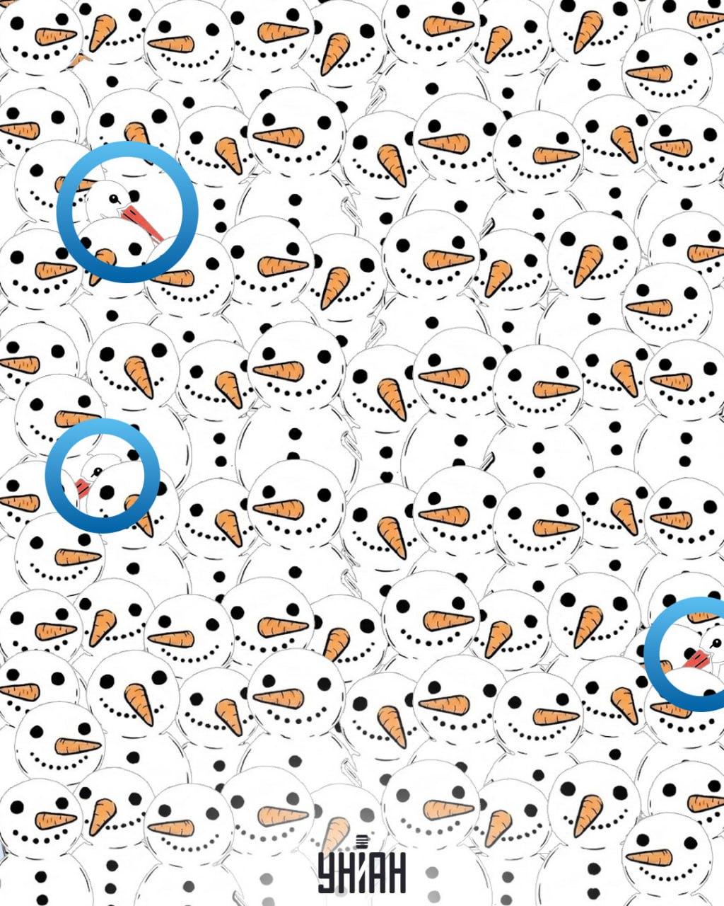 Nájdite 3 bociany medzi snehuliakmi za 11 sekúnd: úžasná optická ilúzia