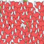 Hádanka pre orlie oči: nájdite čerešňu bez červíka za 30