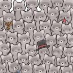 Hádanka pre skutočných géniov: nájdite mačku medzi mývalmi za 15