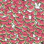 Náročný IQ test pre géniov: nájdite päť melónov bez semien za 15 sekúnd Náročný IQ test pre géniov: nájdite päť melónov bez semien